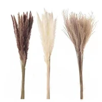 10pcs 30cm reed pampas wheat ears rabbit tail grass natural dried flowers bouquet wedding decoration hay for party bohemian home