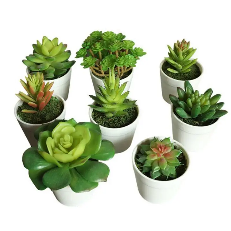 Искусственное суккулентное растение мини-размера орнамент Искусственный