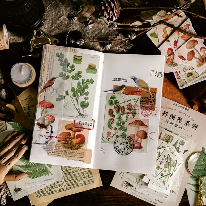 60 шт. винтапосылка наклейки с изображением морских животных и растений|Наклейки|