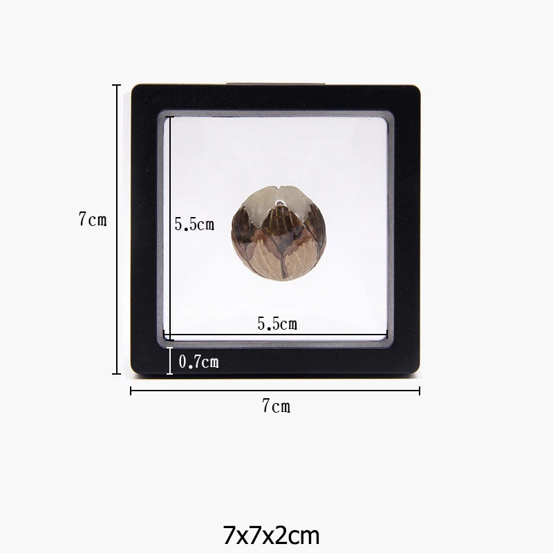 

Полиэтиленовая пленка брошь монета драгоценные камни ящик для хранения ювелирных изделий пылезащитный выставочное Украшение подвесное плавающее кольцо стойки для показа сережек чехол