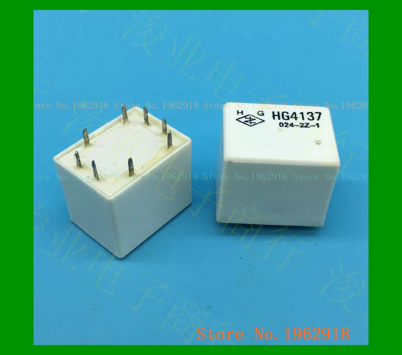 

HG4137 024-2Z-1 24V 8