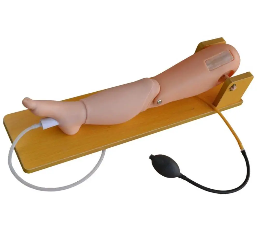 Ребенок костного мозга с защитой от проколов и бедренной кости венозные иглы