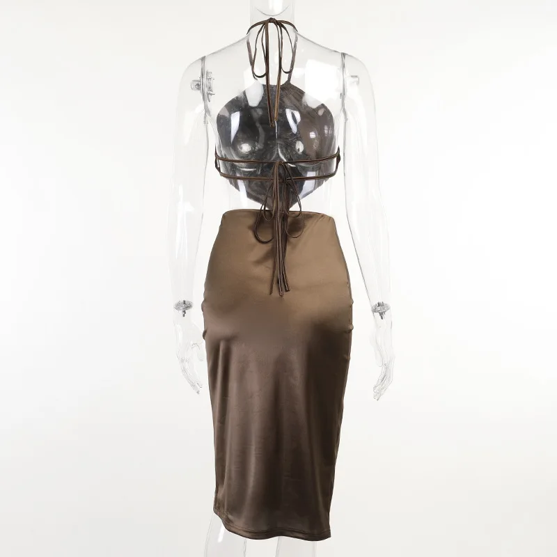

Fashion Elegant Two Piece Skirt Sets 2021 New Sexy Halter Crop Top and Skirts 2 Piece Sets Night Club Party Outfits Dress