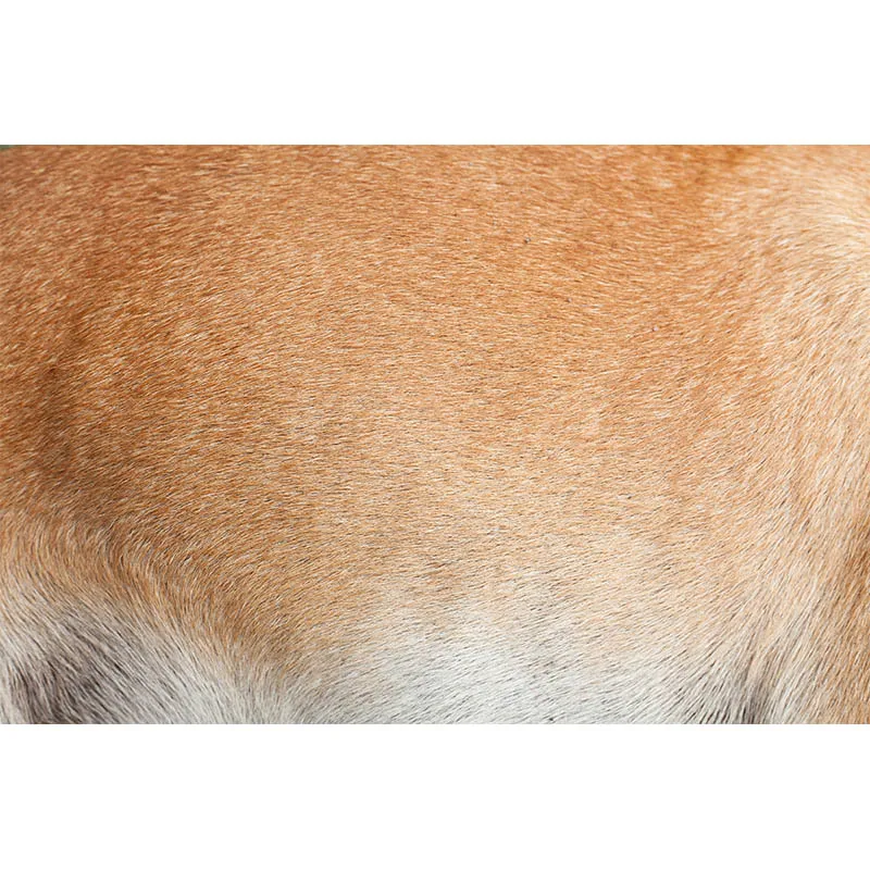 Nitree Сика олень Леопард однотонный животный текстурный узор фон для фотостудии