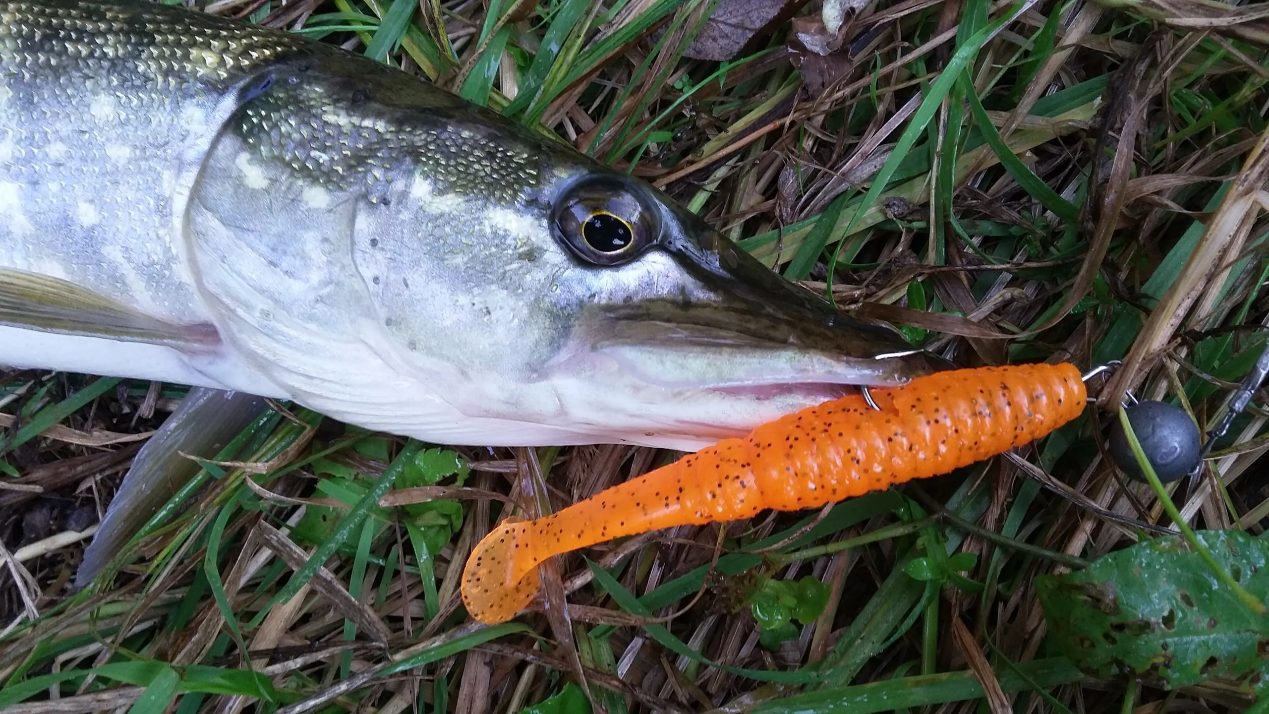 ESFISHING Fishing Lures Silicone Bait Soft Stagger Shad 100mm 7.2g 6pcs Trout Pesca Smell Pike | Спорт и развлечения