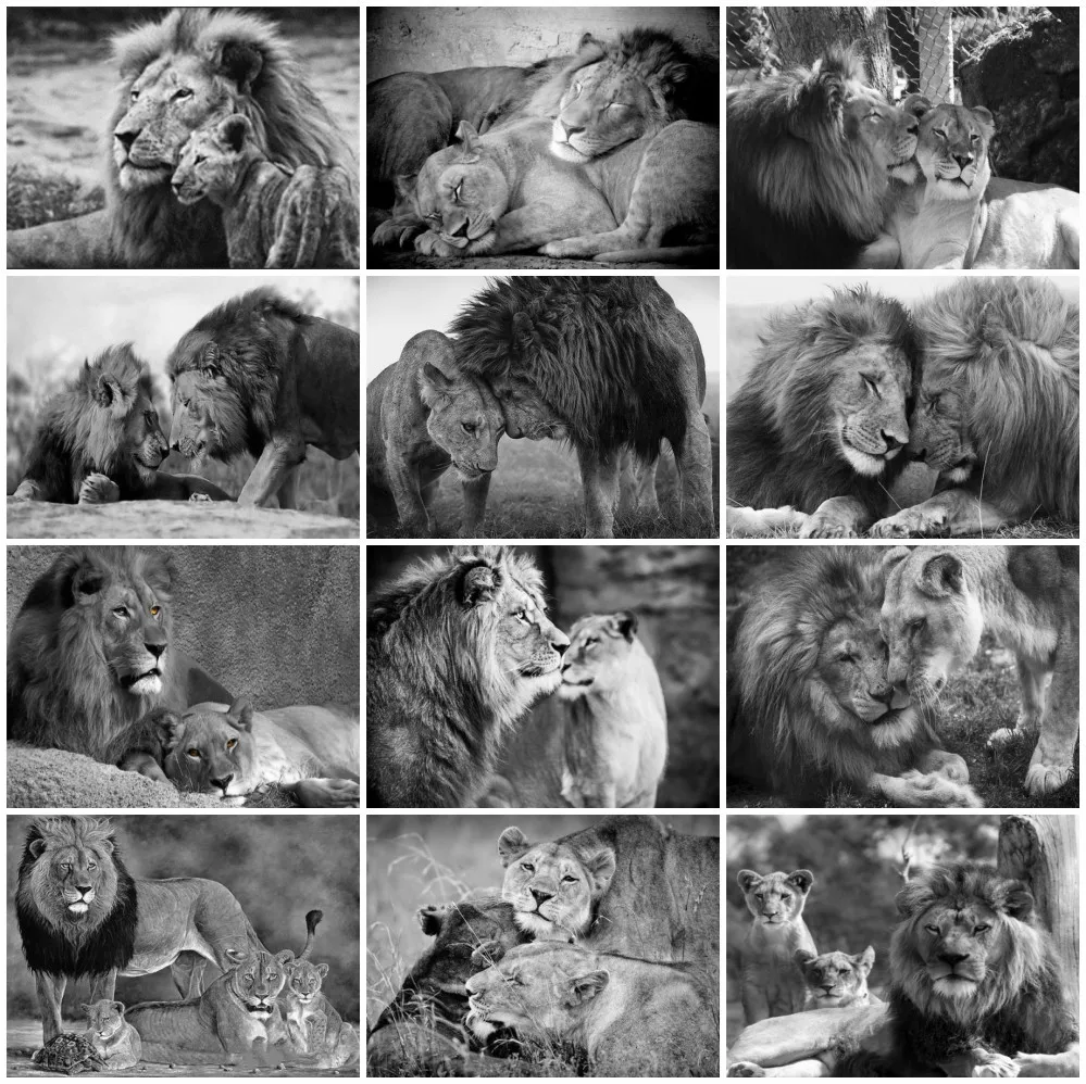 

5D Diy Lion Diamond Embroidery Black White Animal Picture of Rhinestone Mosaic Full Diamond Painting Cross Stitch Kit Home Decor