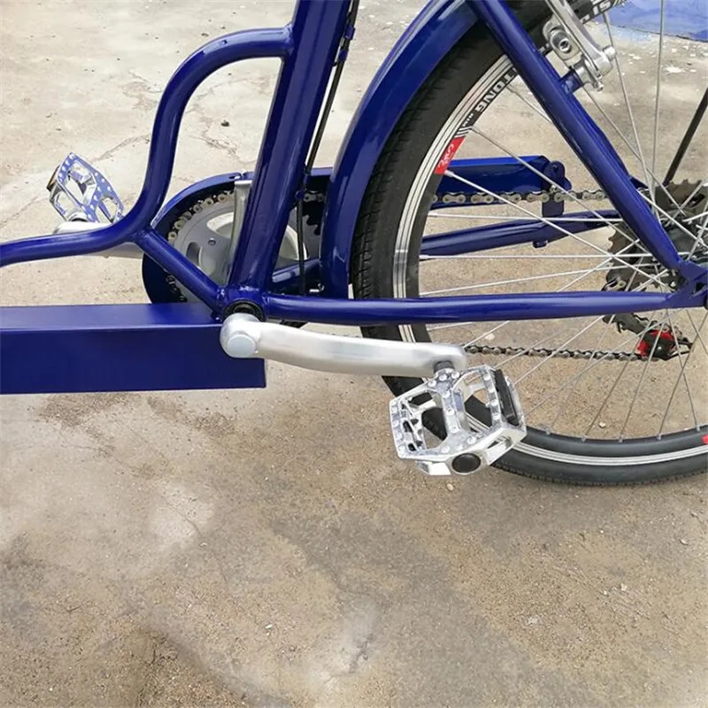 Семья Электрический грузовой трицикл 3 колеса взрослый велосипед способный