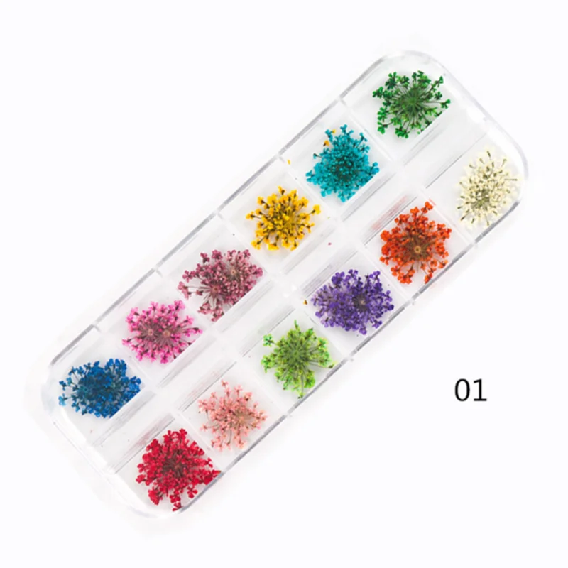 

3PCS 12 Color Nail Art Nature Dry Flowers Set Gel Polish Tip 3D DIY Floral Slices Decal Manicure Pedicure Decor Newest Kit