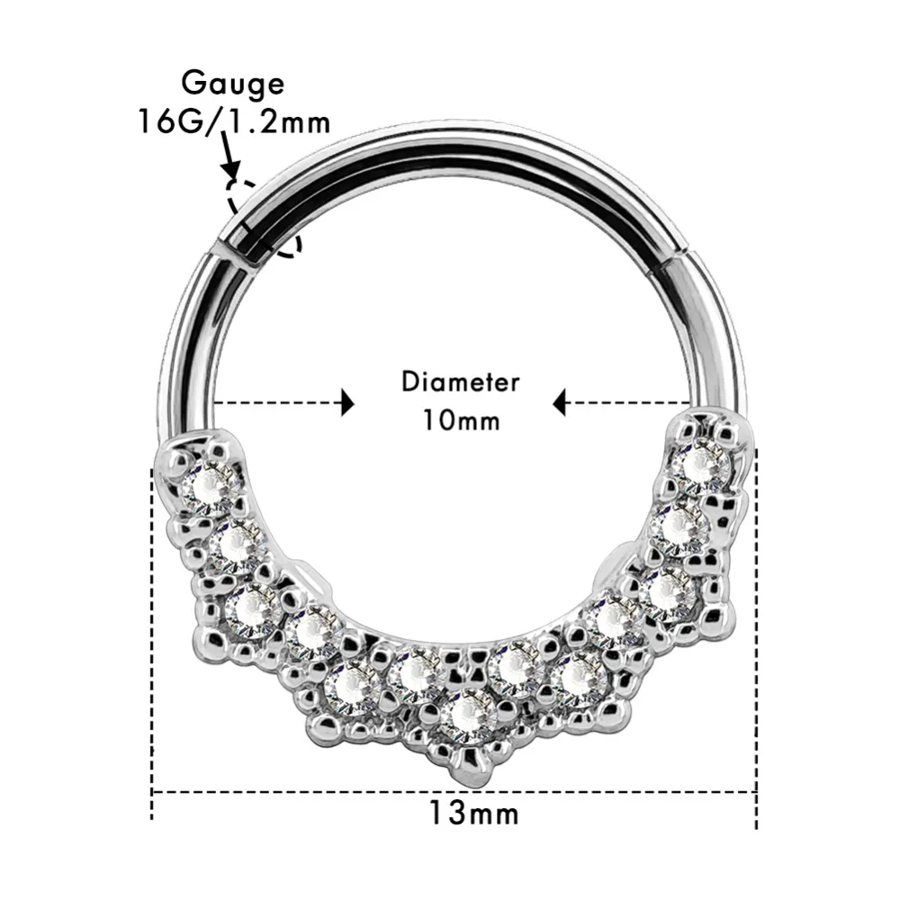 BODY PUNK 16G Cartilage Earrings Nose Septum Piercings Segment Clicker Daith Clear CZ Tragus Helix Stud Conch Body Jewelry Women