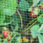 Сетка для защиты от птиц, 2x10 м