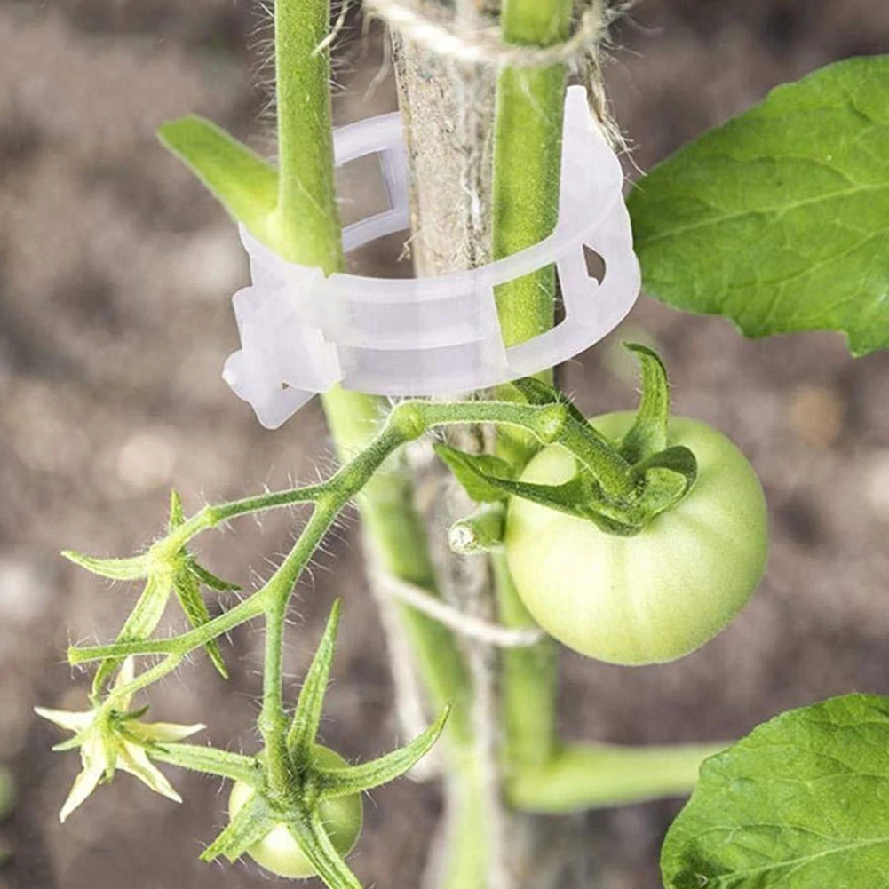 10 шт. зажимы завод держателя помидор висит решетки лоза разъемы оранжерейные