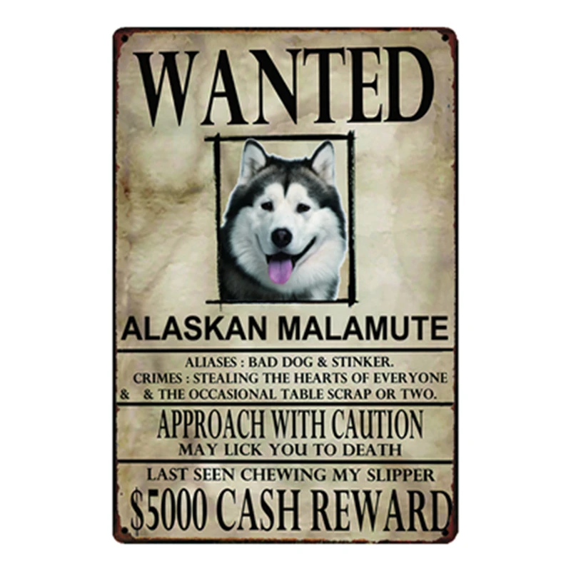 

[ Kelly66 ] Alasken Malamute Dogs Wanied Metal Sign Tin Poster Home Decor Bar Wall Art Painting 20*30 CM Size y-2083