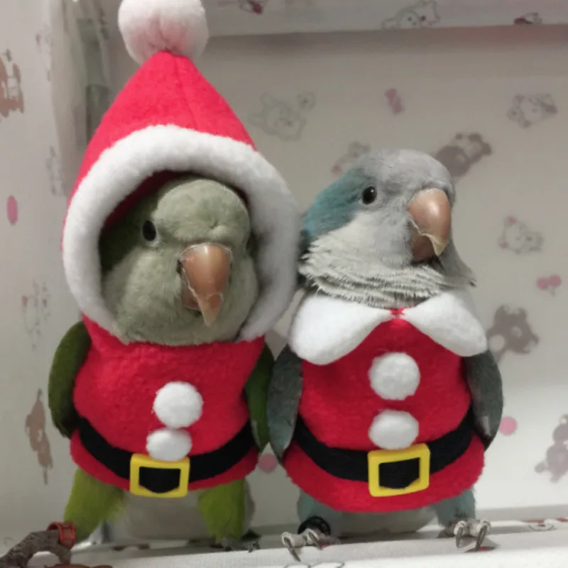 Теплая одежда ручной работы с птицами милый Летающий костюм для тараканов солнца