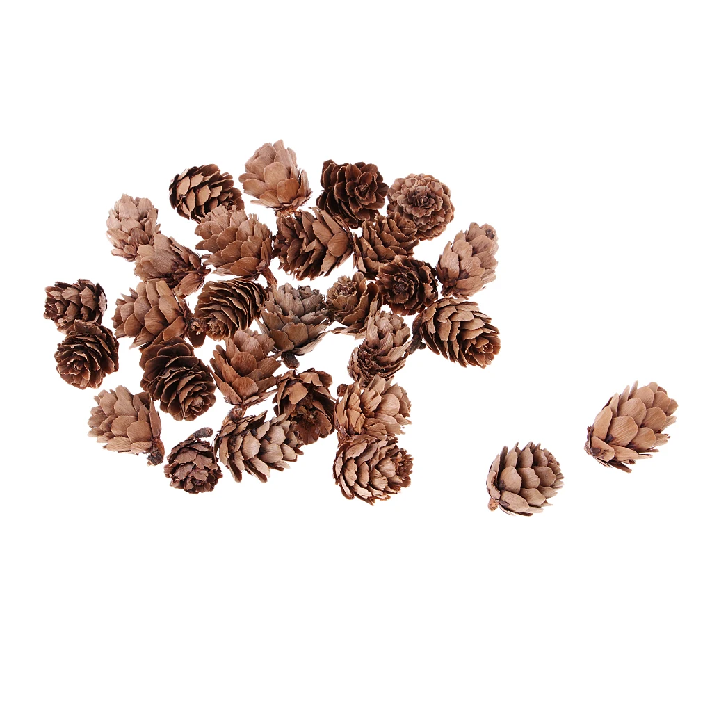

30Pcs Real Natural Pine Cones Decorative Pinecone Bauble Xmas Tree Decors