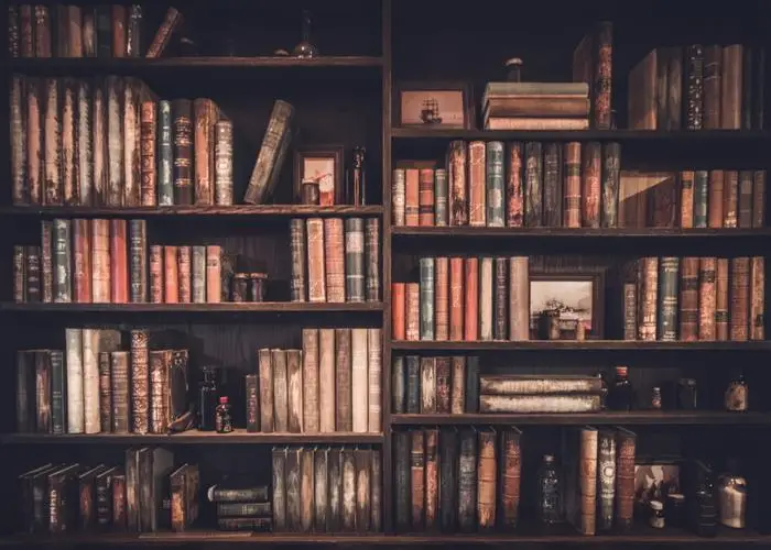 

Фон для студийной фотосъемки с изображением старой деревянной книжной полки детской семейной библиотеки