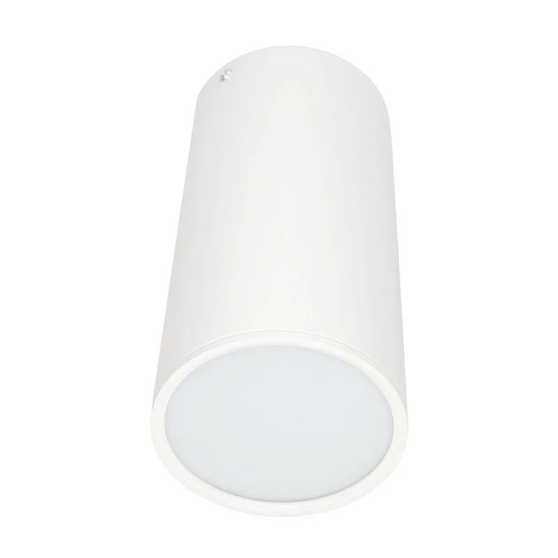 White Body SMD2835 Светодиодный потолочный светильник с регулируемой яркостью на поверхности, потолочный светильник 5 Вт 7 Вт 9 Вт 12 Вт 15 Вт 18 Вт, Светодиодный точечный светильник, светильник для кухни - Цвет корпуса: White Body SMD2835