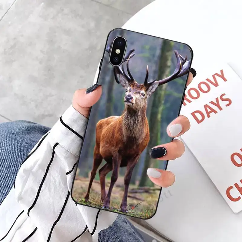 

whitetail deer hunting deer Phone Case for iPhone 11 12 mini pro XS MAX 8 7 6 6S Plus X 5S SE 2020 XR