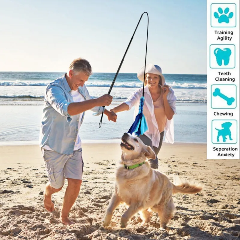 

Tease Dogs Retractable Wand Pet Interactive Chew Toys For Dogs Get More Exercise Interactive Outdoor Entertainment Exercise