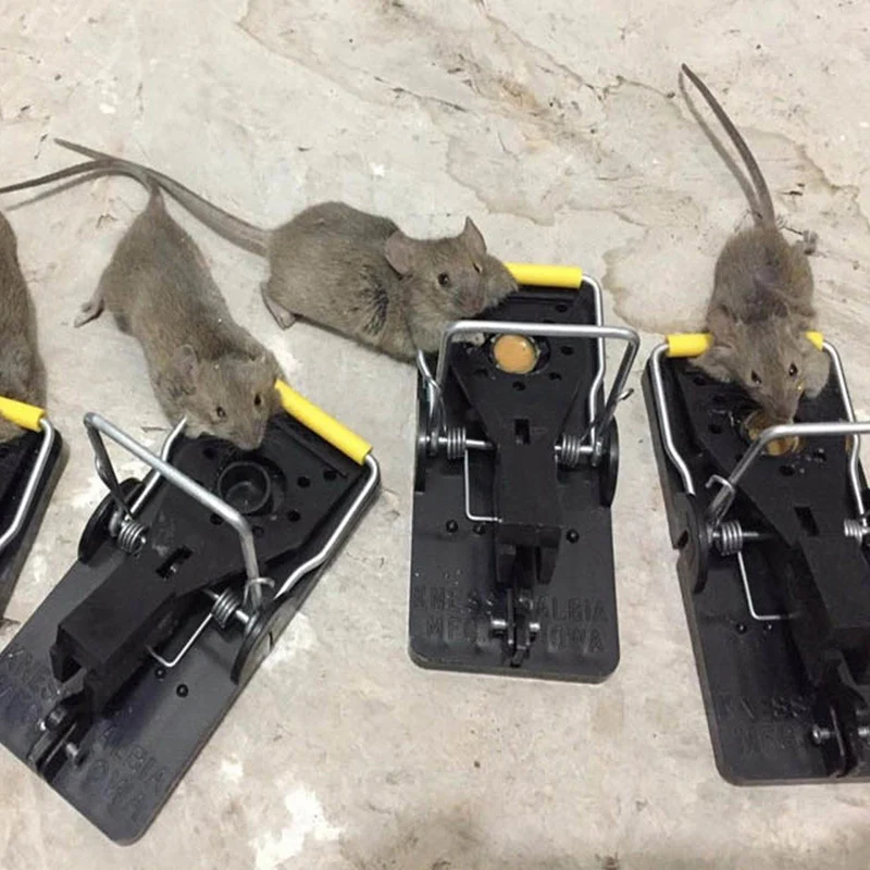 

Mouse Trap Reusable Snap Traps for Small Mice Outdoor Indoor Rat Catching Mice Spring Rodent Catcher Pest Control Mousetrap