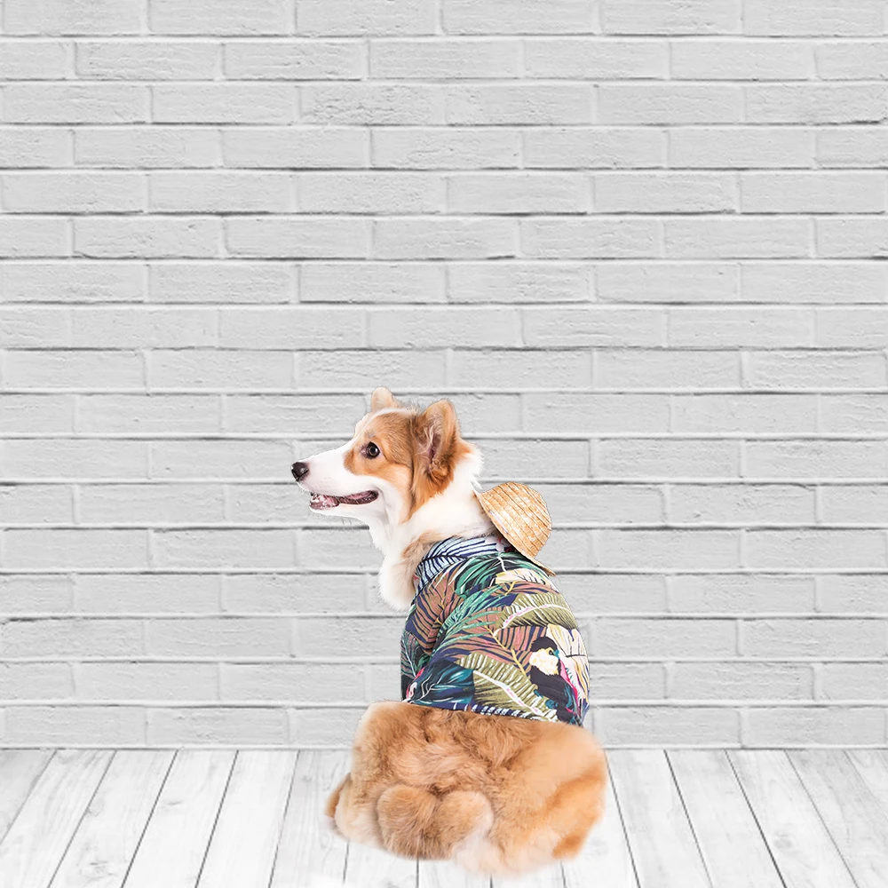 White Brick Wall Photography Backdrops Wooden Floor Backgrounds for Pet Toy Photo Studio Baby Shower Newborn Children Photophone |