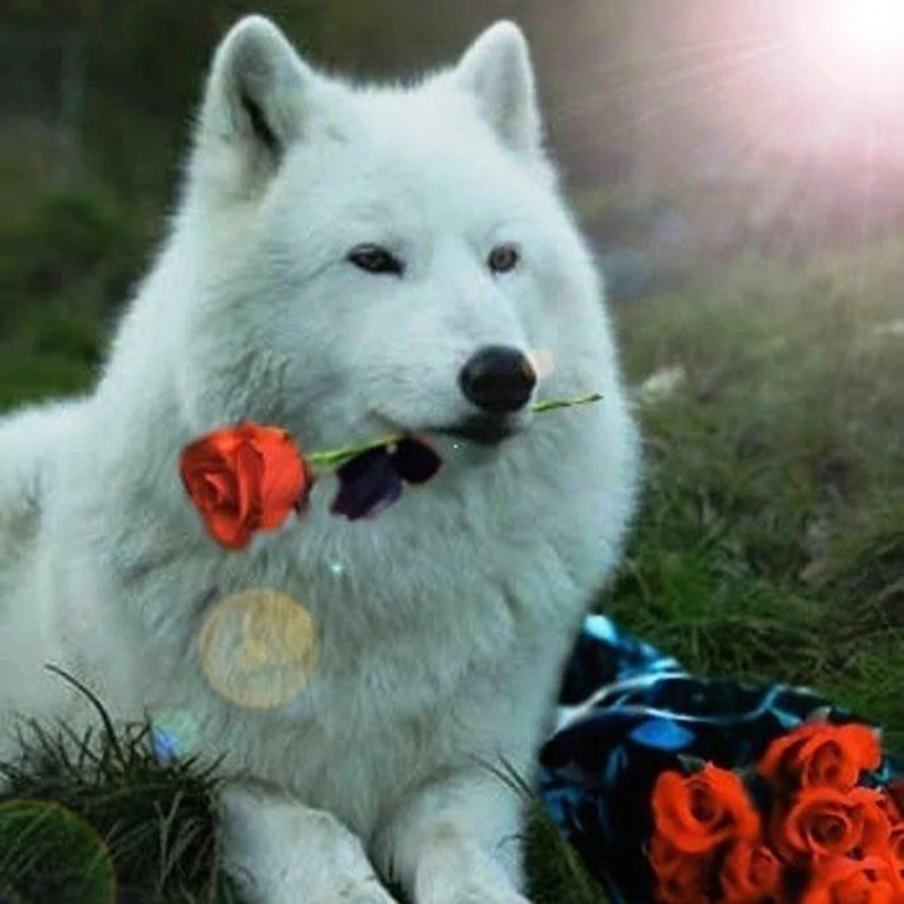 

Dpsprue 5D Diamond Painting Full Square/Round Flower Wolf Pictures Of Rhinestones Diamond Embroidery Diamond Mosaic Gift