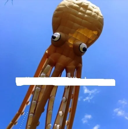 3d Мягкие игрушки троллей windsocks большая пляжная забавная нейлоновая ткань