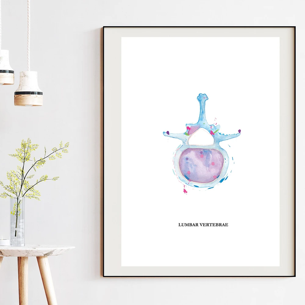 Watercolor Chiropractic Art Print Chiropractor Office Decor Vertebrae Sketch Poster Anatomical Human Wall Art Canvas Painting 4