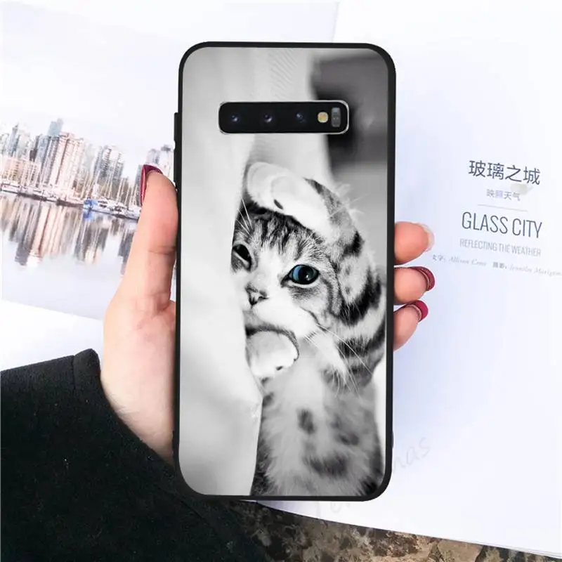 

Cute Animal Cat Phone Cases For Samsung galaxy S 8 9 10 20 21 30 A 30 50 51 70 note 10 plus Ultra 5g