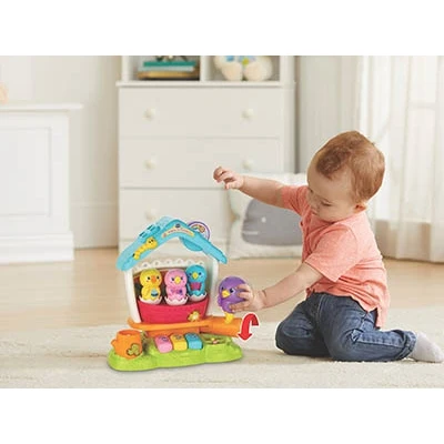 Игрушка Vtech Поющий домик с птичками 80-522426 |
