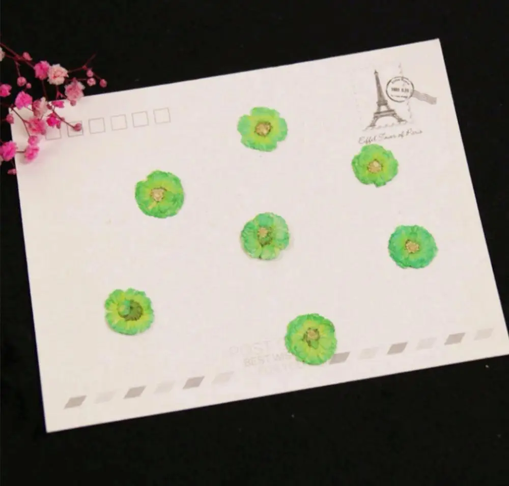 120 шт. цветы Маргаритки для сухих растений эпоксидной смолы подвеска ожерелье