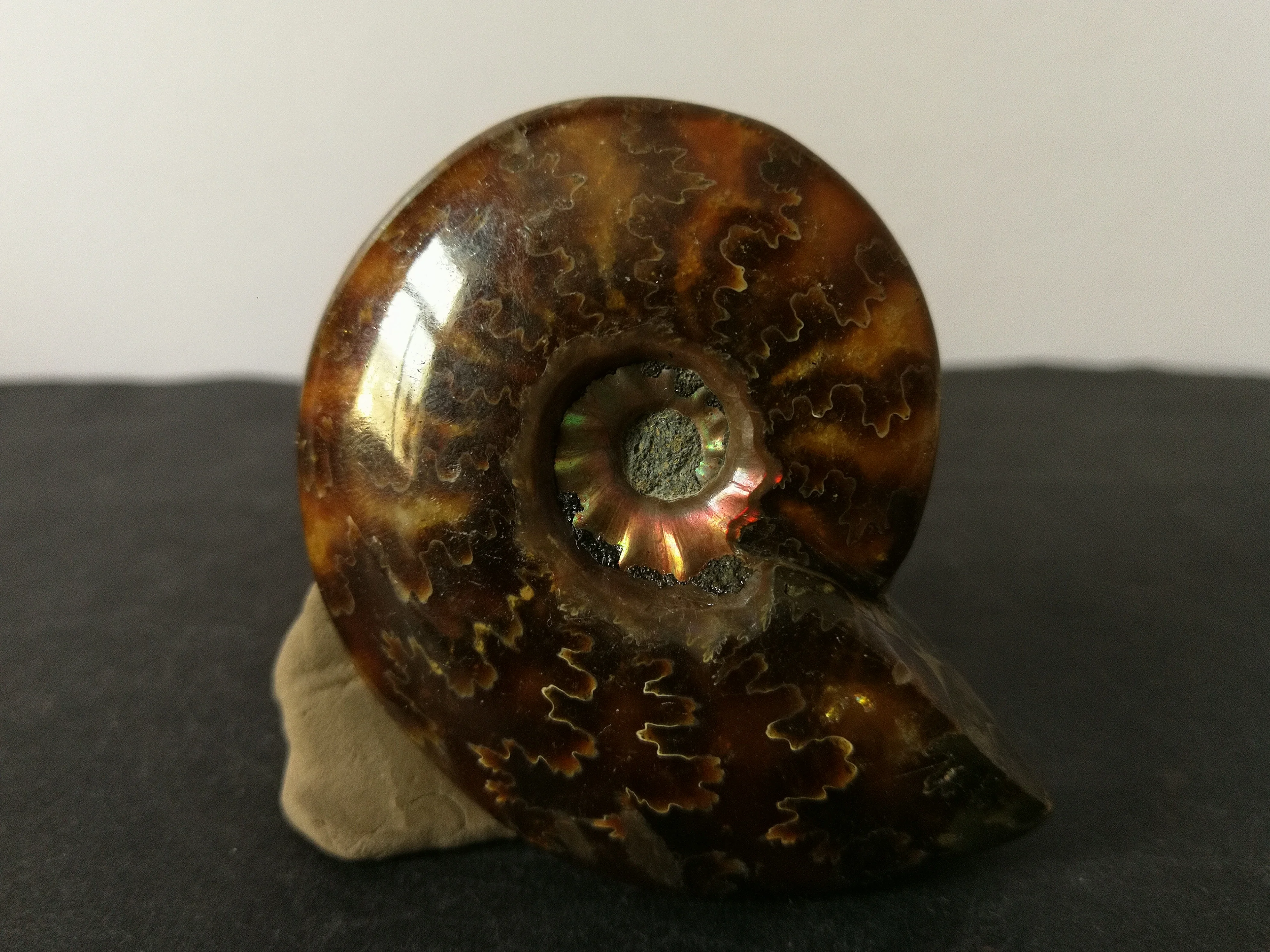 

67.4gNatural ammonite, crystal, quartz specimen energy healing
