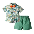 Костюм для мальчиков 1 - 6 лет, рубашка с принтом и зеленые шорты, пляжный костюм для вечеринки на день рождения, комплект летней одежды