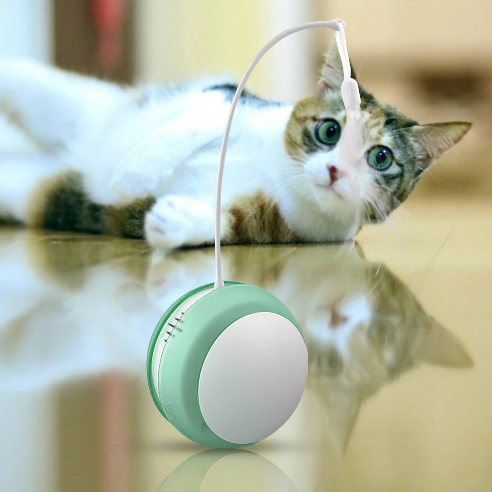 

Automatic Interactive Cat Toy Colorful LED Self Rotating Ball With Catnip Bell and Feather Toys USB Rechargeable Cat Kitten Toy