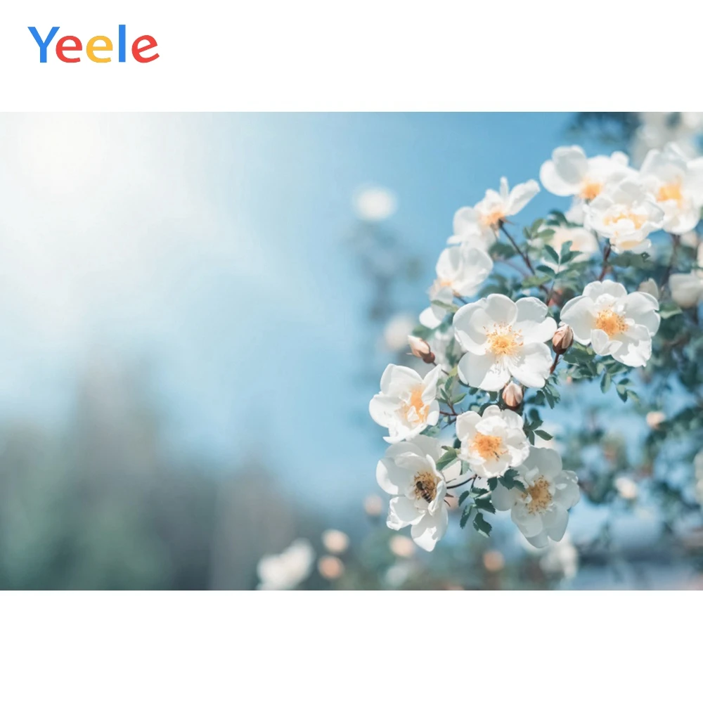 

Yeele Nail Photos Poster Backdrops Spring Flowers Light Dots Customized Vinyl Background Photocall Photography For Studio Shoot