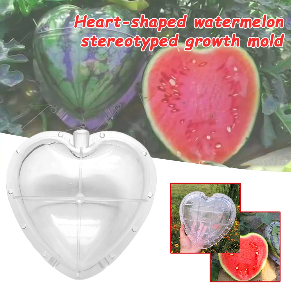 

Fruit Growth Mold Plastic Heart-shaped Watermelon Growth Mold High Temperature Resistant Non-toxic And Harmless Garden Tools