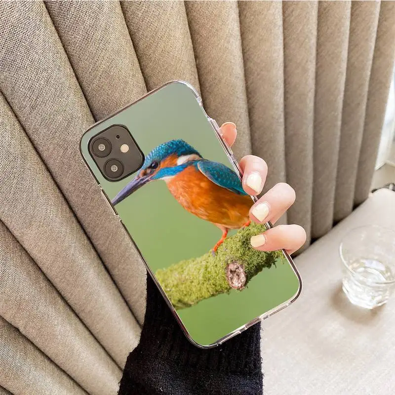 

lovely birds Phone Case For iphone 7 8 plus x xr xs 11 12 mini pro max transparent nax fundas cover