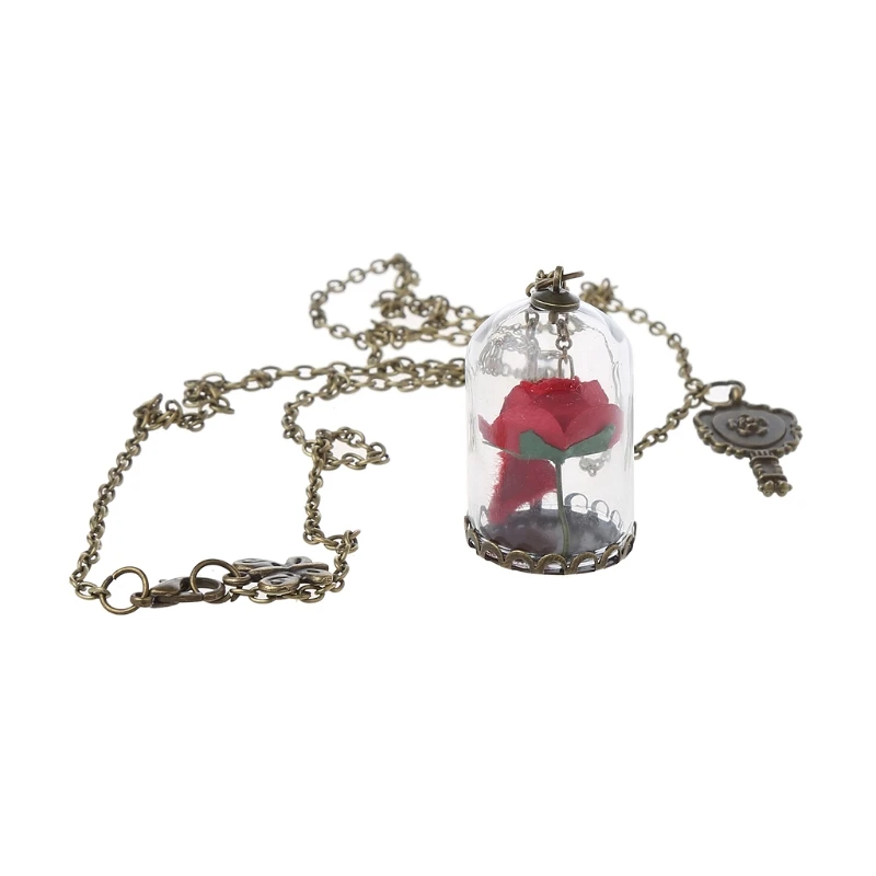 

Women Romantic Dried Flowers Glass Bronze Long Chain Beauty and Beast Necklaces R2LE