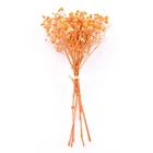 Декоративные сушеные цветы, миниатюрный букет из натуральных цветов для украшения дома и свадьбы