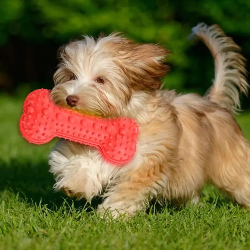 Игрушки для домашних животных с присоской многофункциональные игрушки моляр