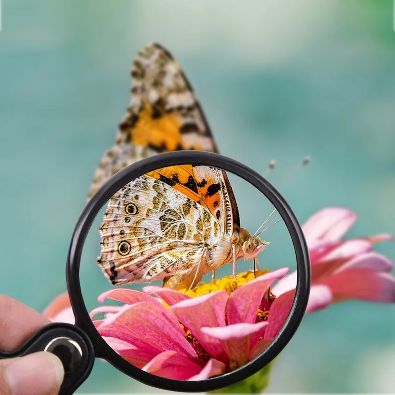 Мини Портативный 8X / 6X складной Брелок Лупа с цепочкой для ключей Повседневная
