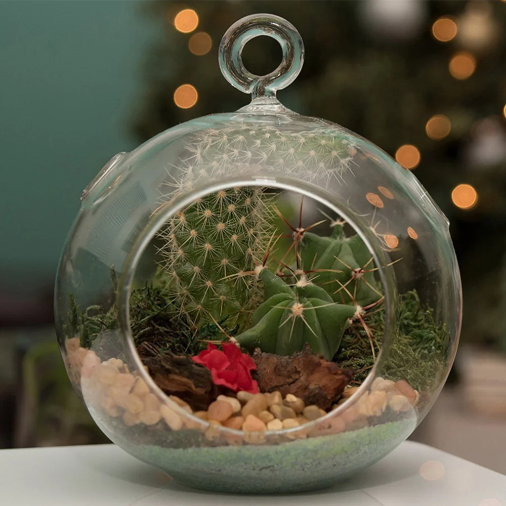 4 шт. прозрачная подвесная стеклянная ваза Форма шарика цветок террариумные
