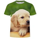 Мужская футболка с короткими рукавами, принтом в виде собаки, модная футболка с короткими рукавами, 2021