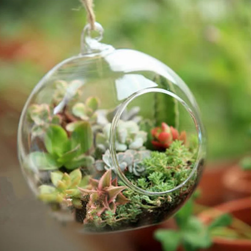 

O.RoseLif Brand Glass Ball Globe Shape Terrarium Ball Flower Hanging Planter Terrarium Container Landscape Ornament Garden Decor