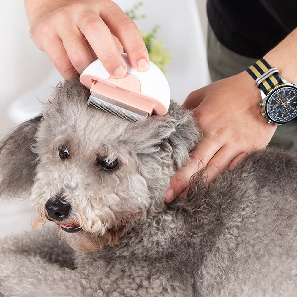 

Cat Comb Pet Dog Massage Combs 2 in 1 Stainless Steel Dual-purpose Long Hair Shedding Brush for Puppy Cats Cleaning Supplies