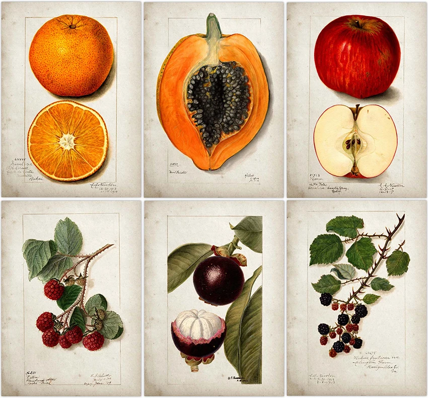 

Кухонный постер с фруктами, винтажный постер, античная печать, груша, яблоко, апельсин, ананас, настенное искусство, декоративная картина, кр...