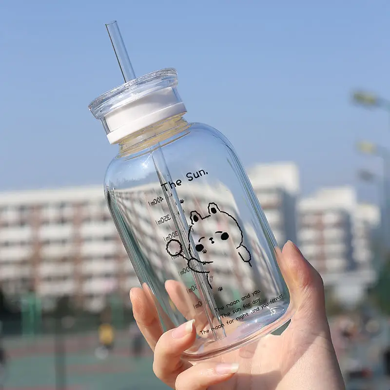 

Glass Water Bottle with Straw Creative Daisy Frosted/Transparent Cup Leakproof Portable Drinking Bottle With A Sealing Cap Lid