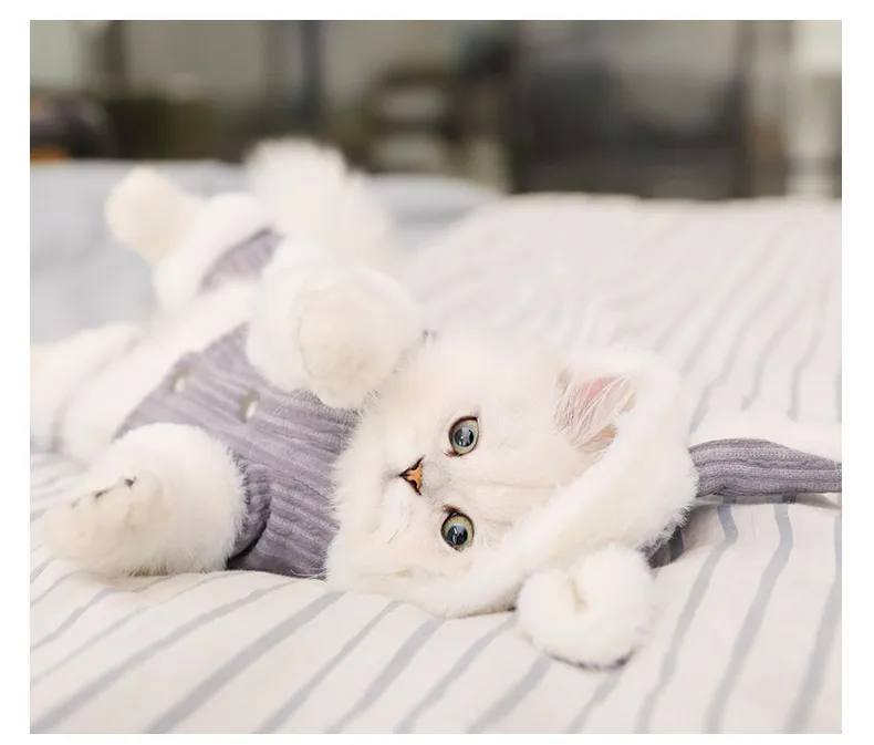 

Lovely Cute Warm Autumn Cat Pet Hoodies Winter New Cat Puppy Christmas Sweater Robe De Luxe Pour Chien Animals Clothing JJ60JSBY