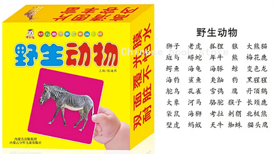 Китайские английские карточки hanzi pinyin фигура плода транспортные фотографии