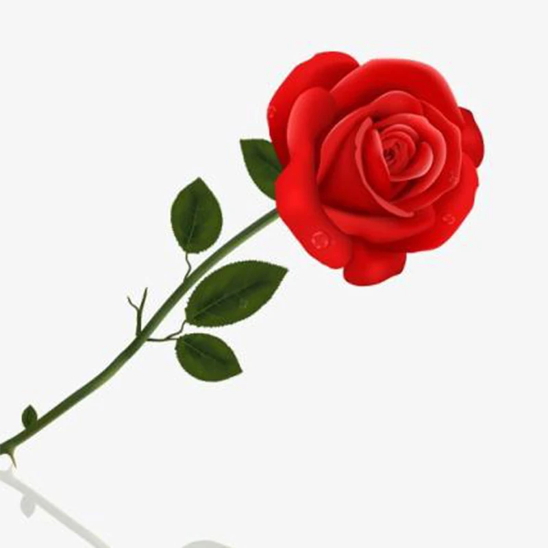 

This is a service specific link. Don't place an order on your own.