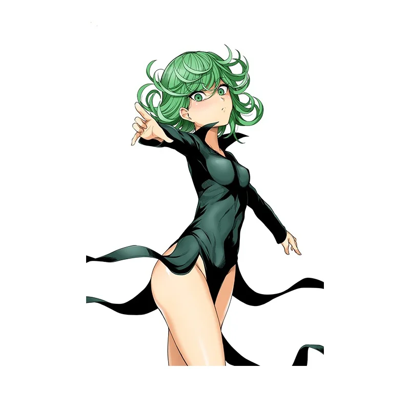 

Виниловые наклейки на автомобиль, 13 см х 9,6 см